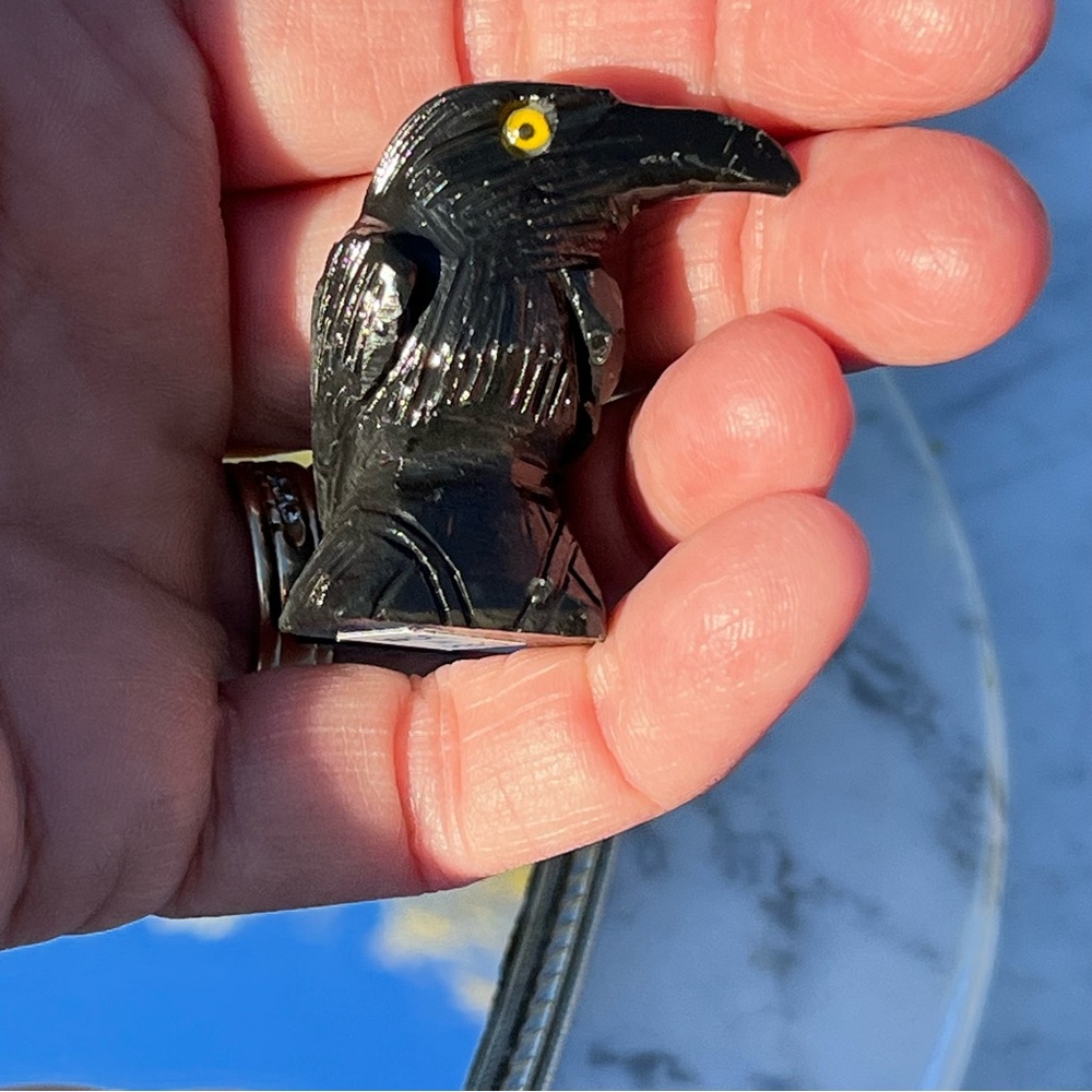 Black Obsidian Raven / Crow, Selenite Teardrop Bowl, Snowflake Obsidian Kyanite - Picture 7 of 15